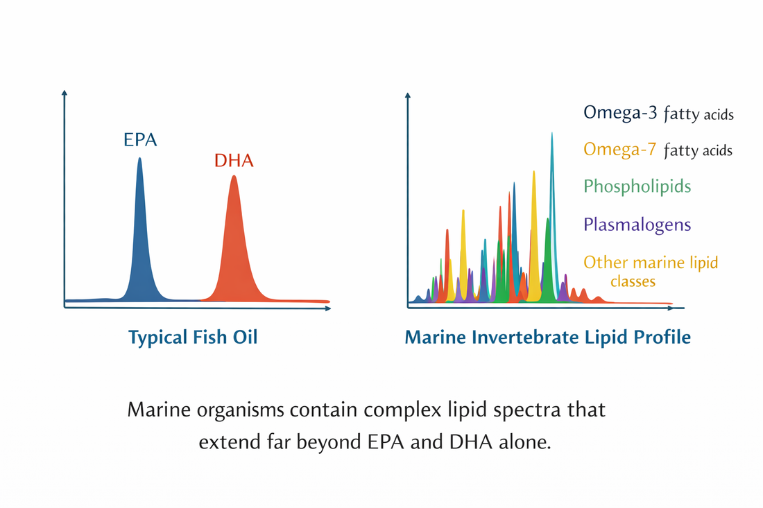 Beyond EPA and DHA